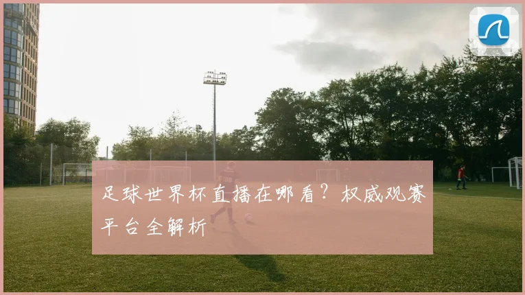 足球世界杯直播在哪看？权威观赛平台全解析