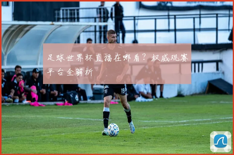 足球世界杯直播在哪看?权威观赛平台全解析